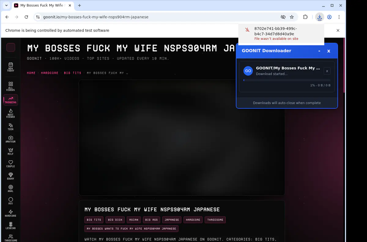 Goonit Video Downloader screenshot 2