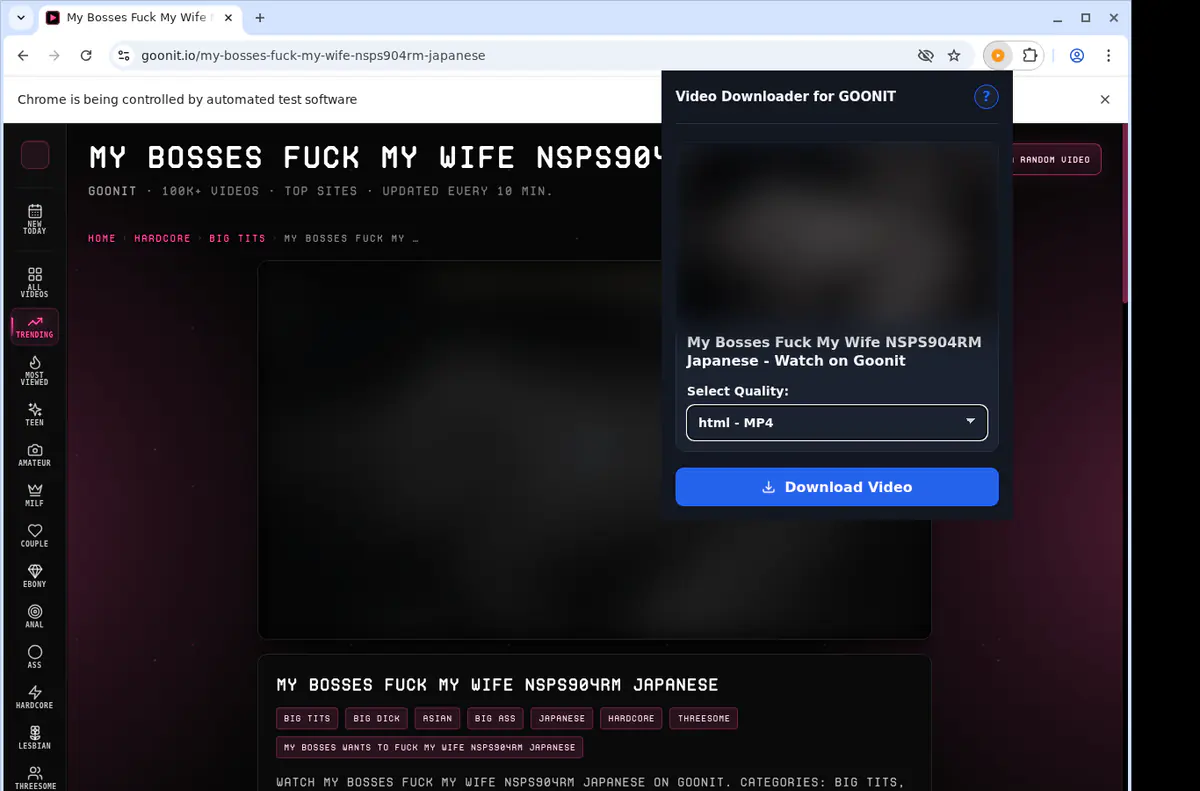 Goonit Video Downloader screenshot 3